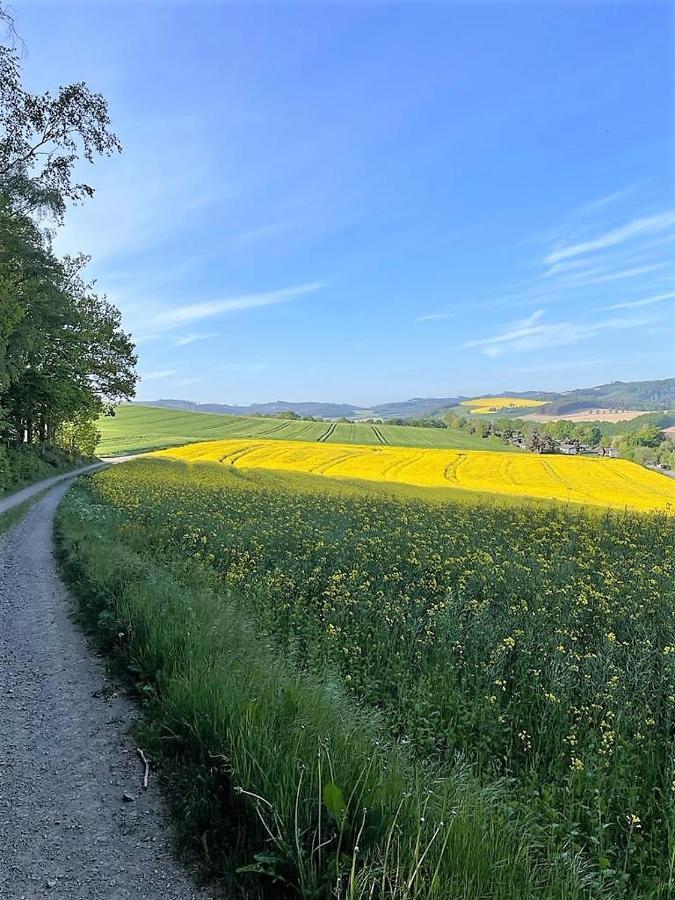 Willa Sauerlaender Henne-Luett Meschede Zewnętrze zdjęcie